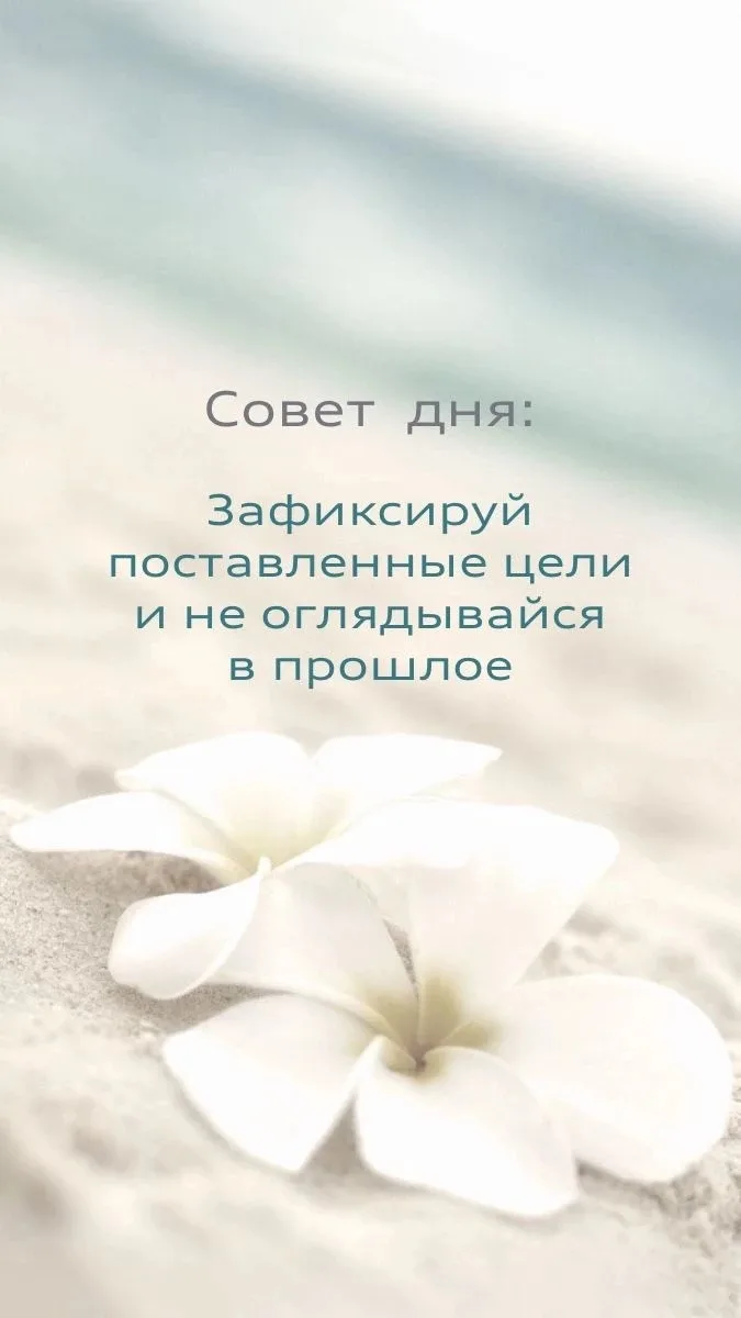 Совет дня