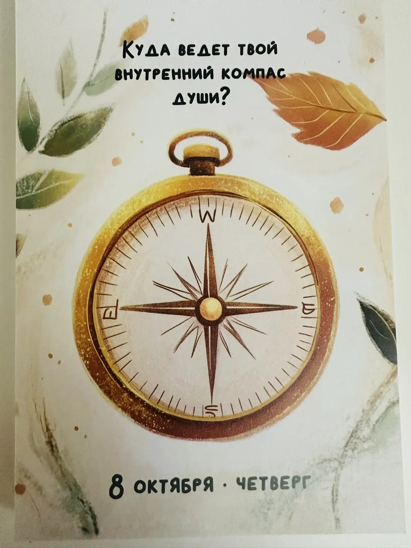 И куда же?)