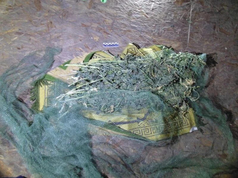 ❗Карагайскими полицейскими пресечена попытка сбыта марихуаны в крупном размере