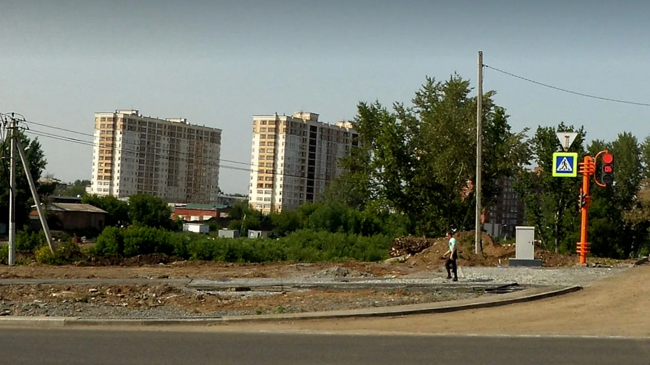 «Изъяли и забили»: бурьян в зоне реновации угрожает остаткам частного сектора на Сибиряках