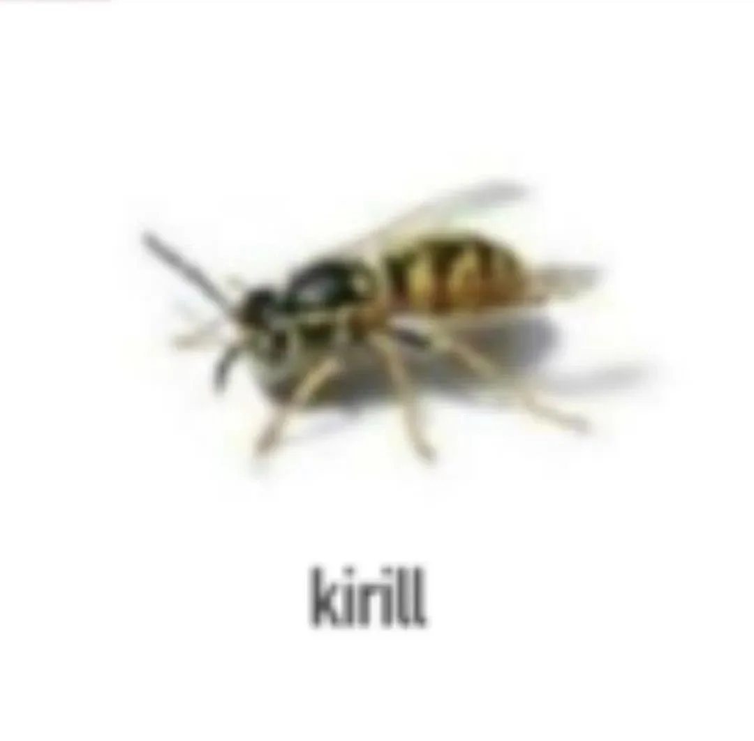 отправляй кириллу