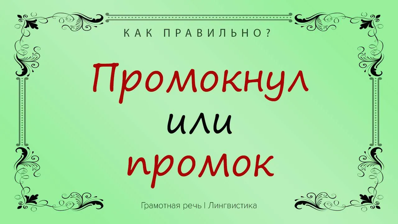 Котенок промокнул под дождем? Или все же промок?
