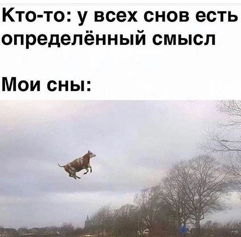 ⚡️ ChatGPT можно использовать для анализа снов в стиле Карла Юнга. В сети стал популяре...