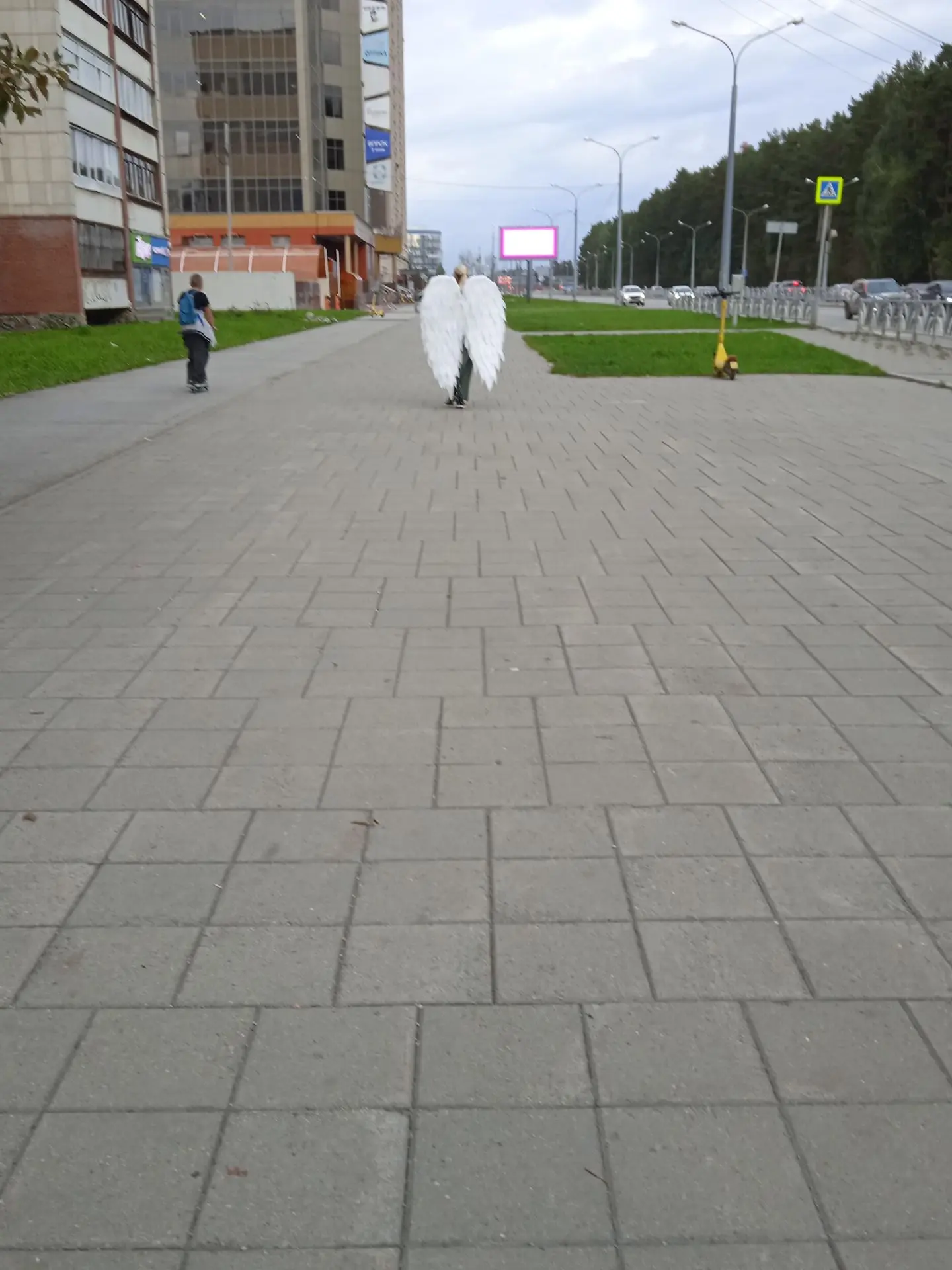 Предложка:
