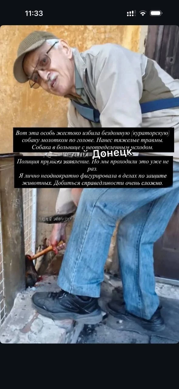 Сообщают, что собаке, которую живодёр избил молотком, провели операцию.