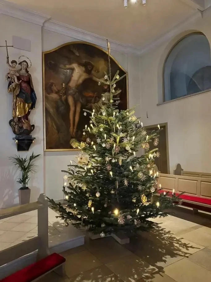 Плывем навстречу Рождеству в Европе!🎄