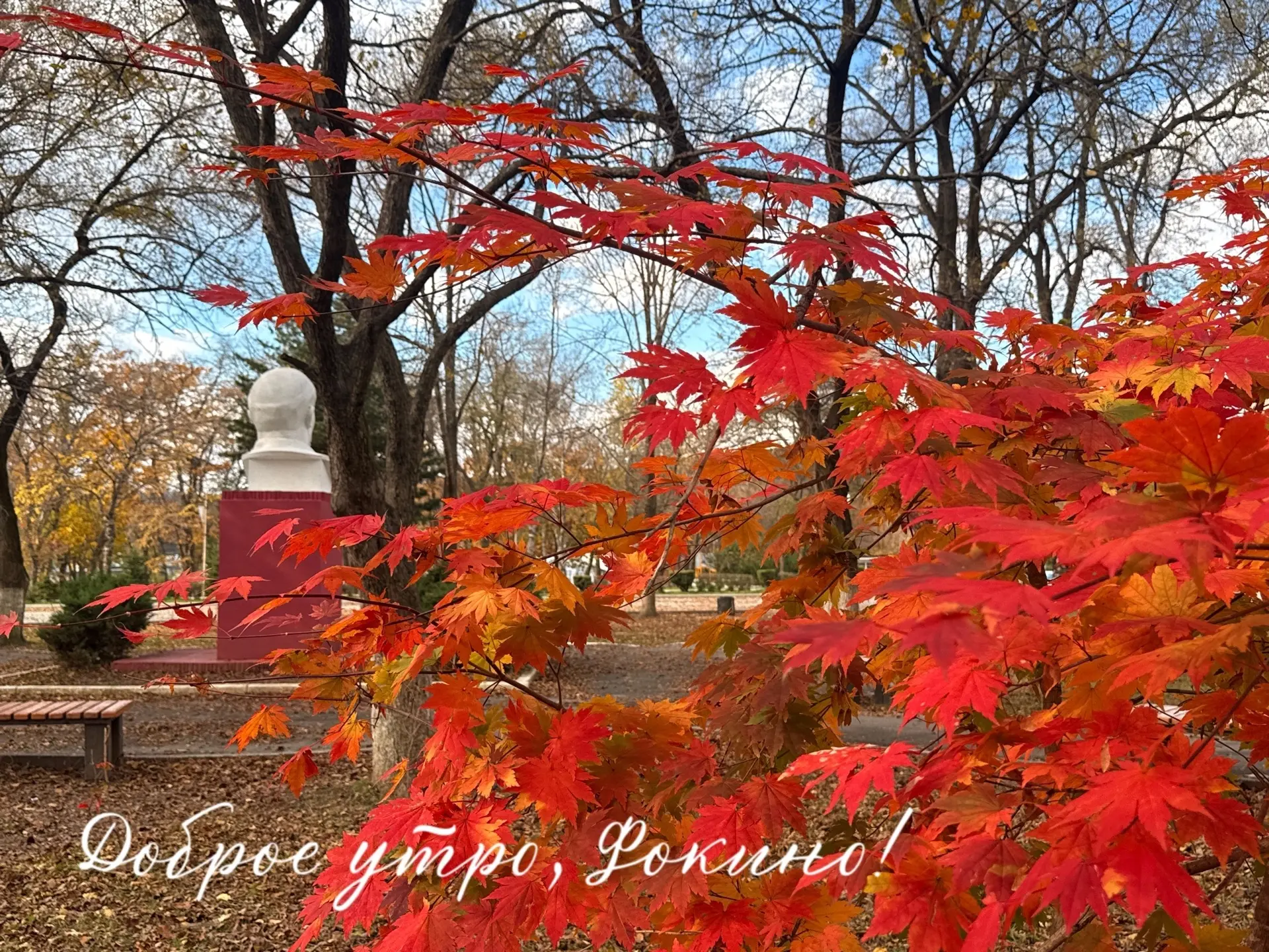 🍁Доброе утро, Фокино! Погода на четверг, 15 октября