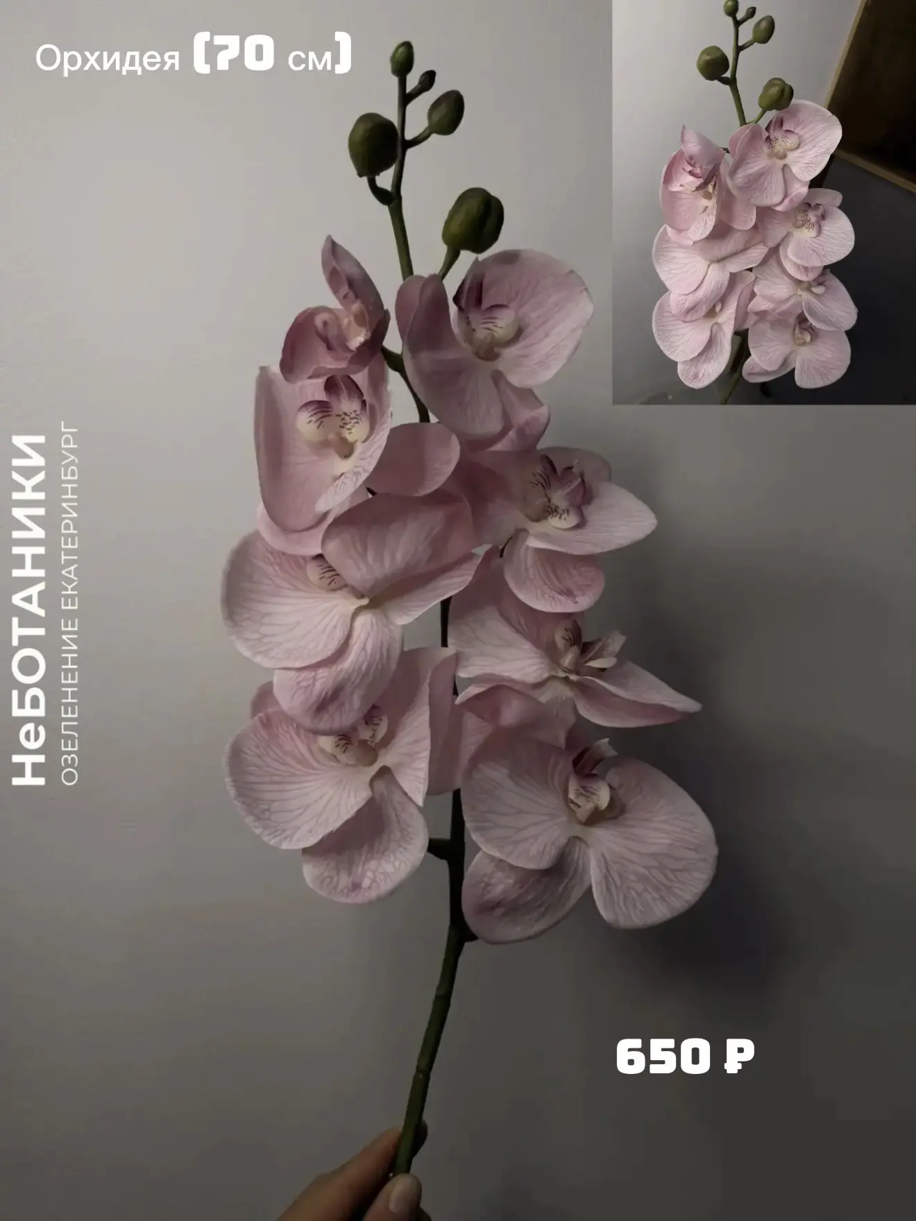 Подборка искусственных растений 🍃