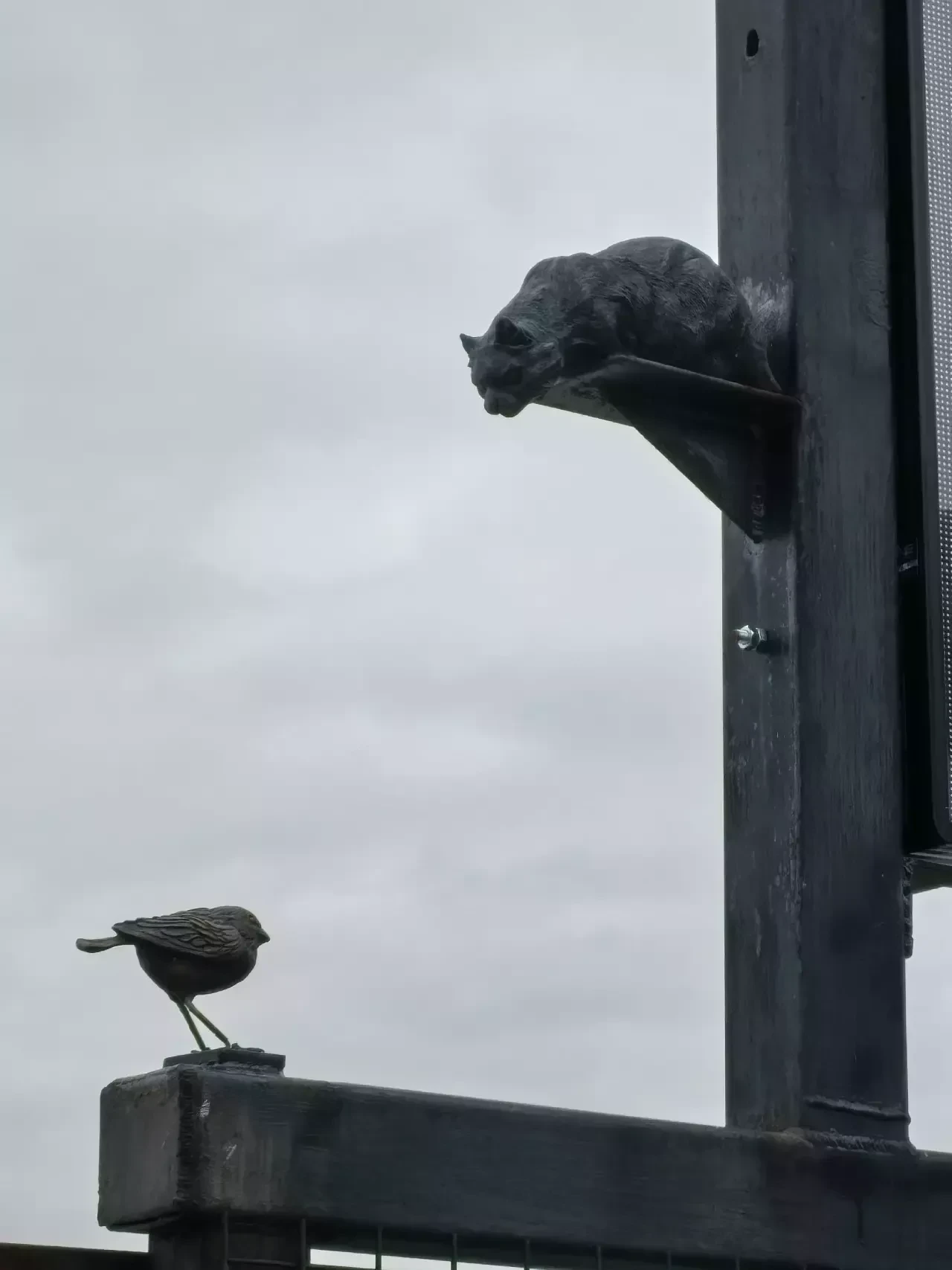 🐈: «Чижик, брысь!»