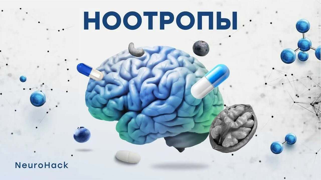 Ноотропы: когда мозг действительно «нужно подпитать»