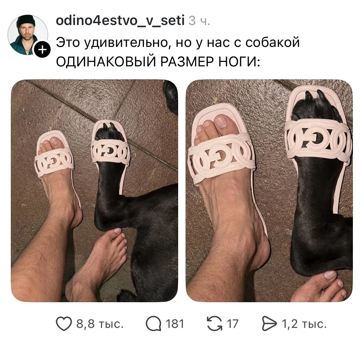 Влияние хоа-хоа сезона на мужчин изучено лишь на 17% процентов