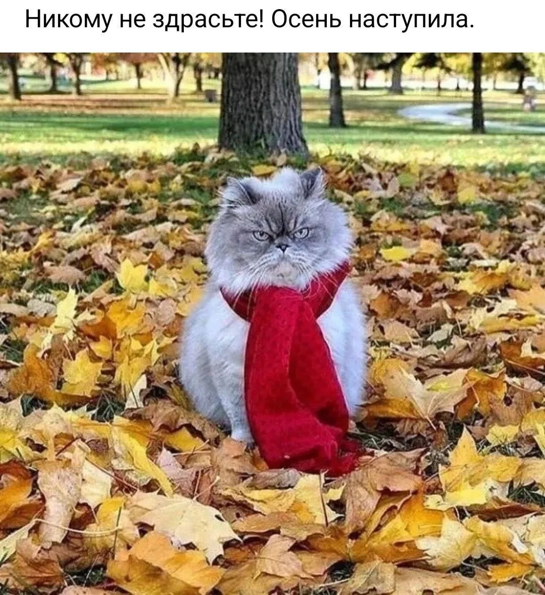 Доброе утро, друзья❤️