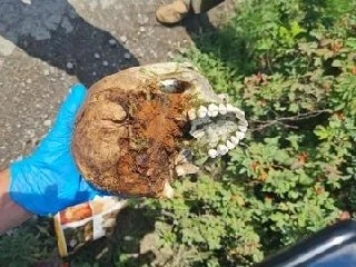 В Тюменской области обнаружили останки девушки, пропавшей 16 лет назад