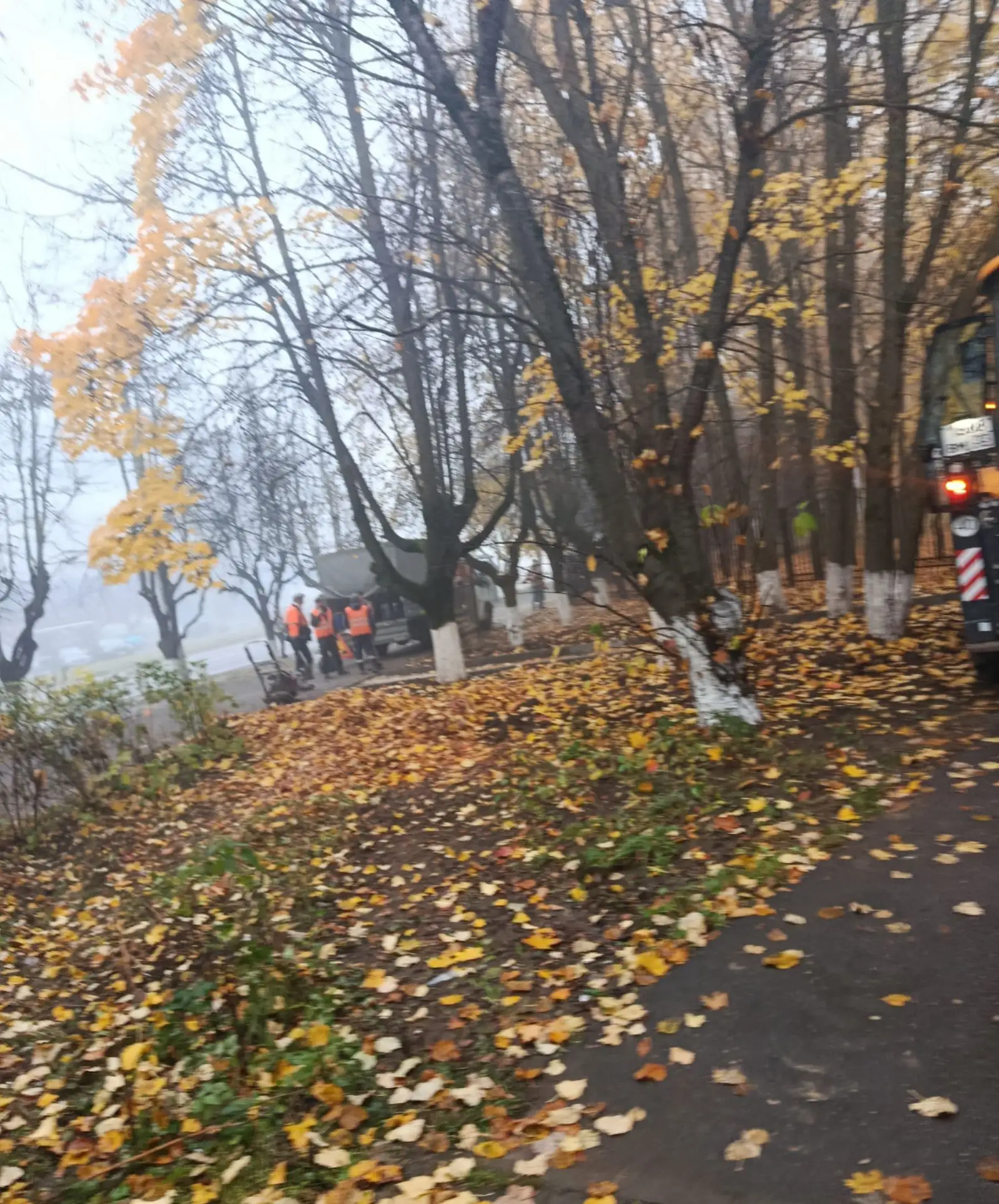 Осень❤️❤️❤️