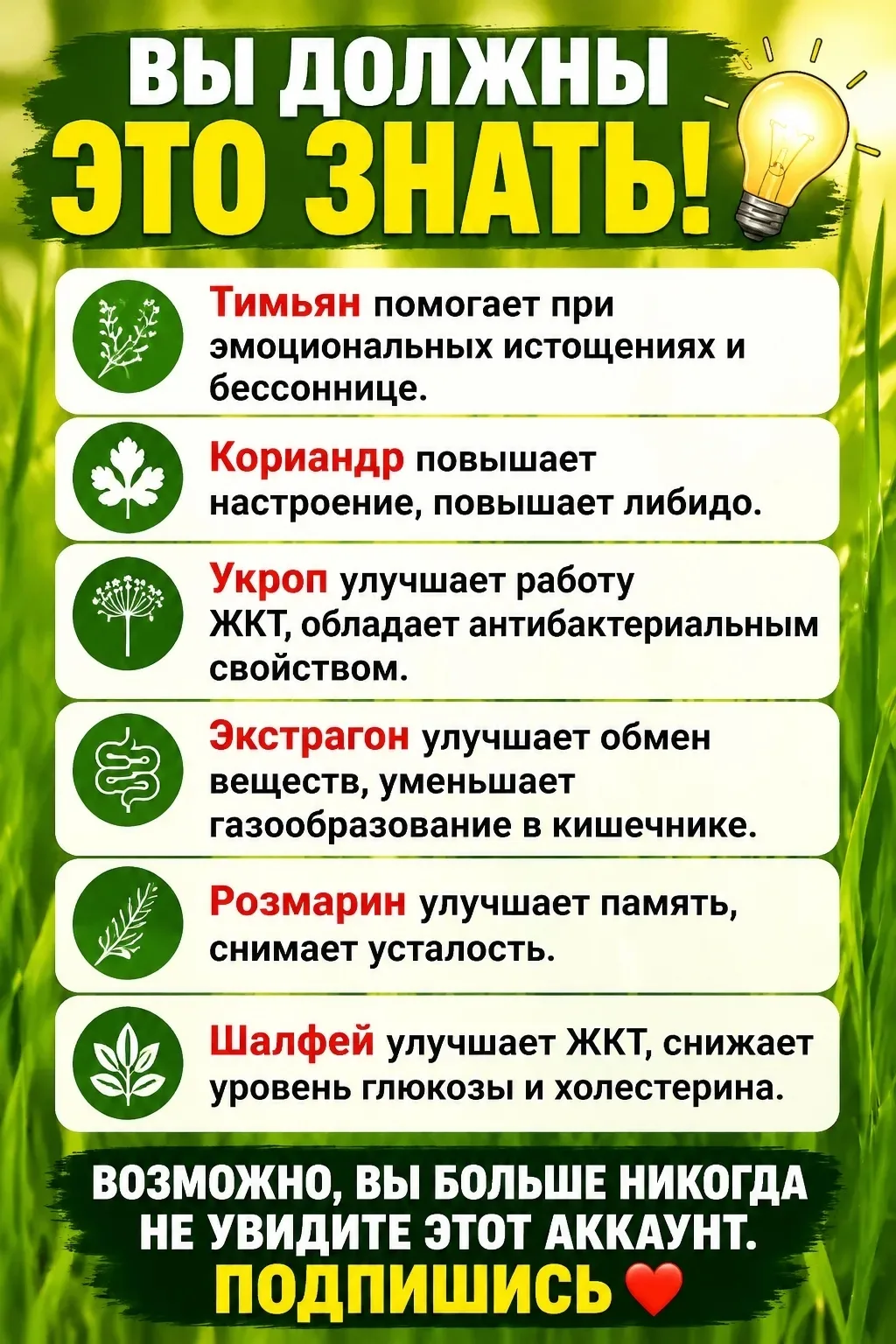 Спасибо за реакции 🔥 👍❤️