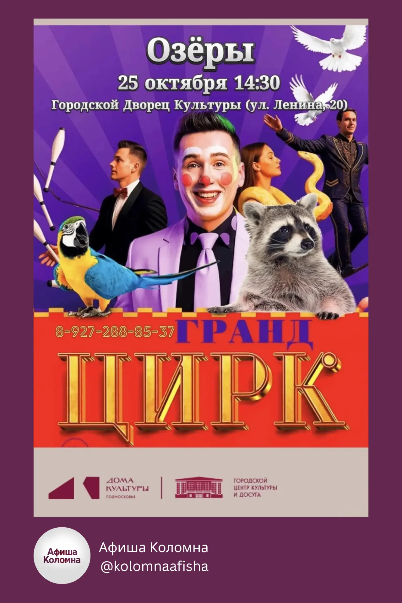 🎉  Цирк «Гранд»