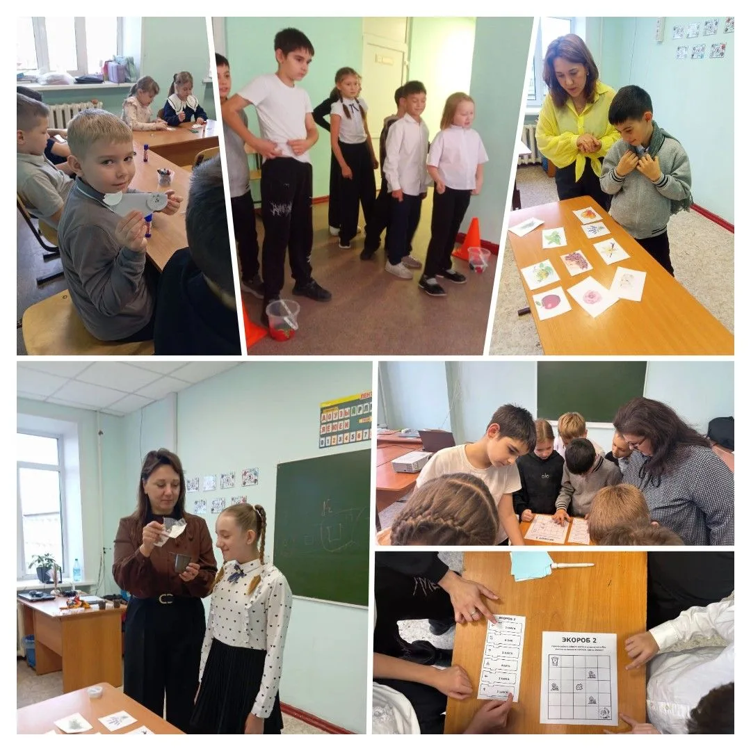 🌎 Экологический экспресс: кругосветка «Экология вокруг нас»