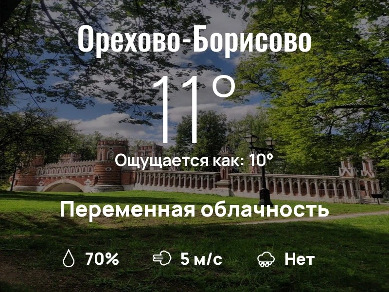 Что с погодой в Орехово-Борисово?