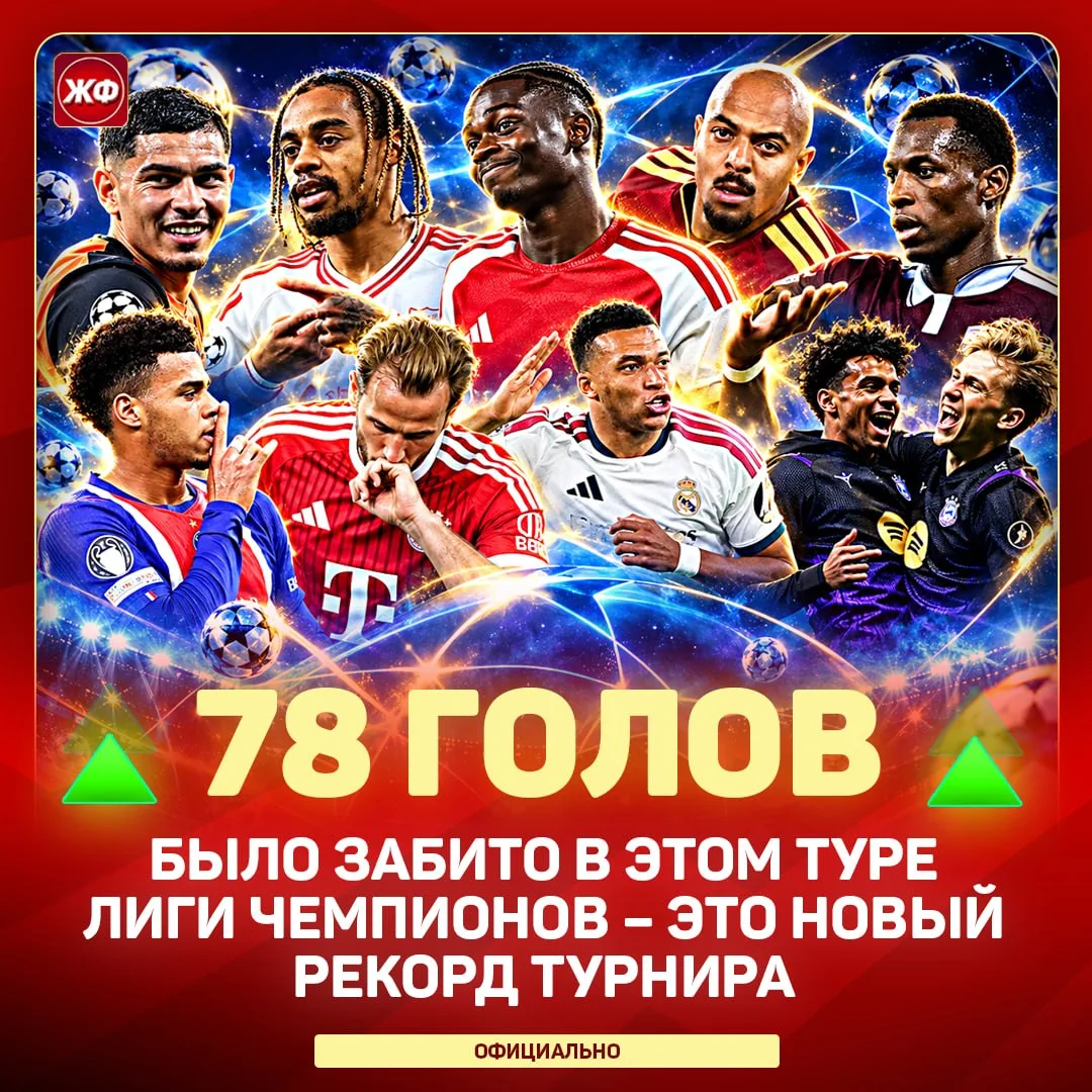 ⭐️⭐️⭐️⭐️⭐️⭐️