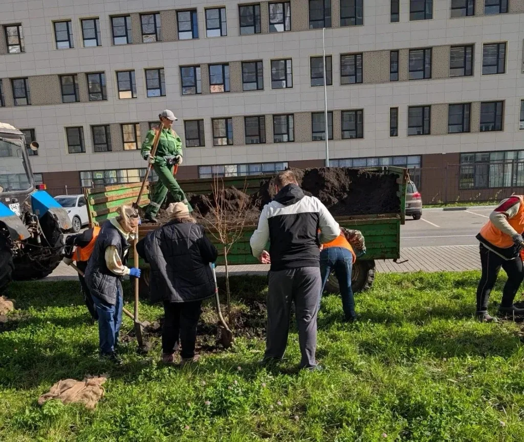 В Липецке этой осенью высаживают деревья на любой вкус