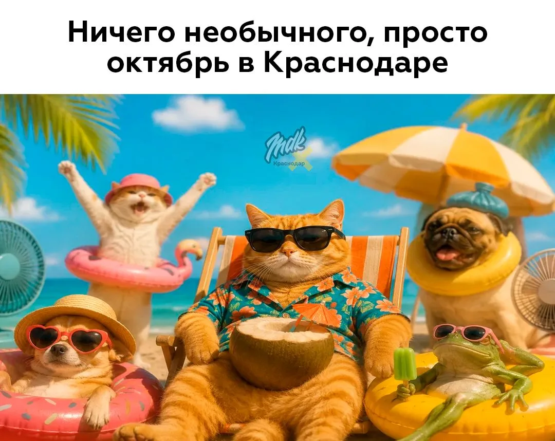 В Краснодарский край возвращается почти летнее тепло