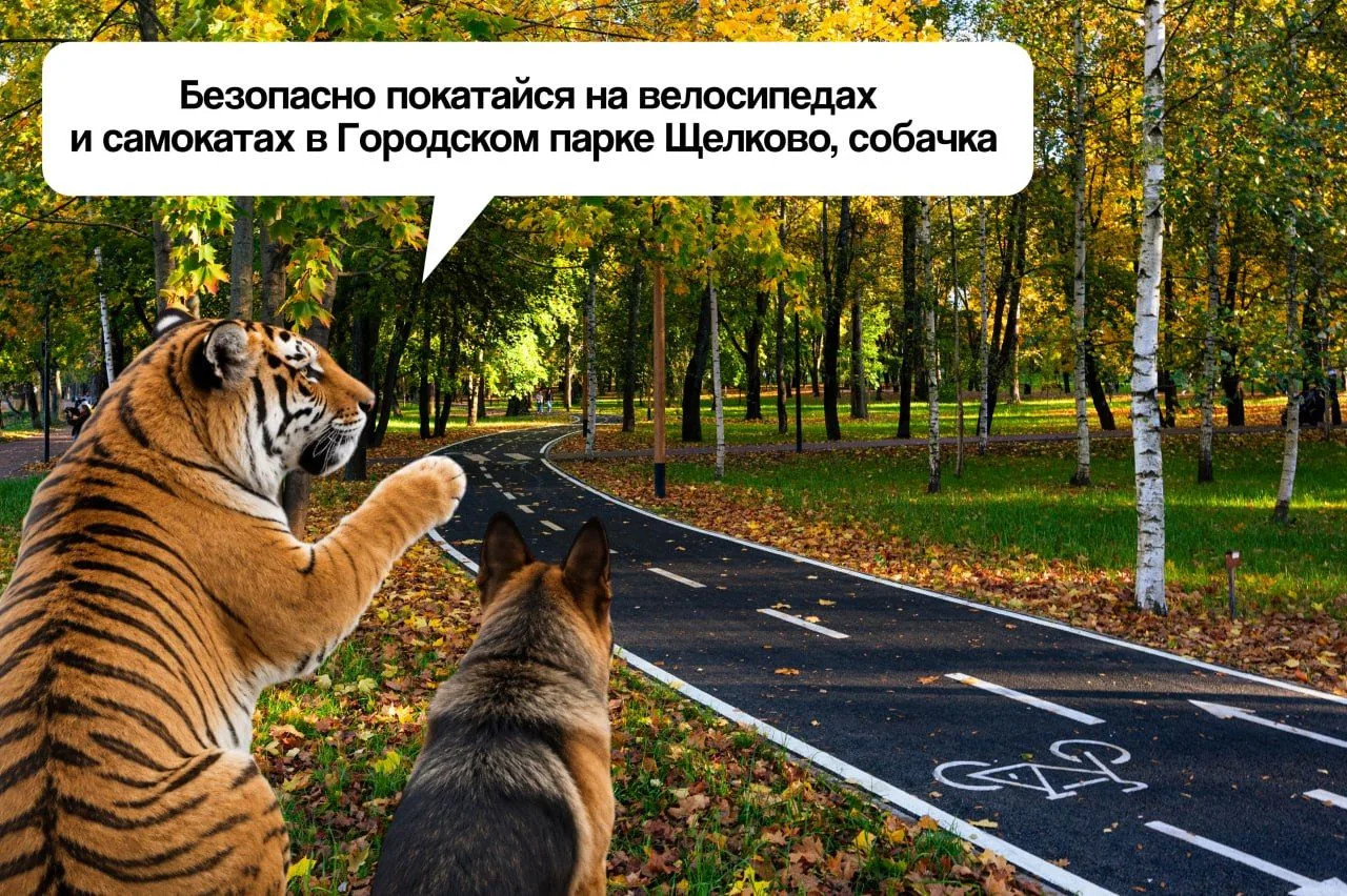 Герои популярного мема проинспектировали парки Подмосковья 😁