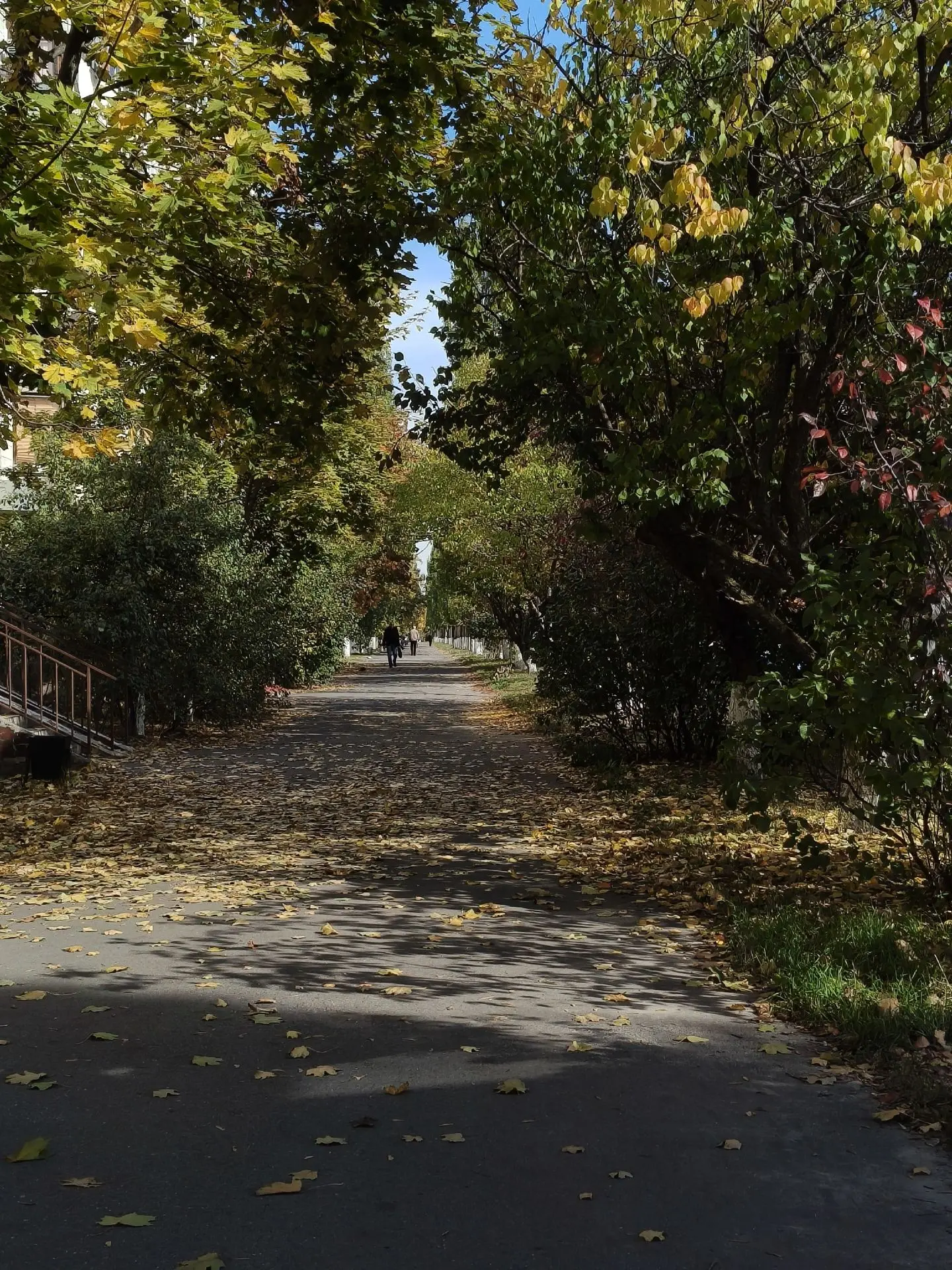 🍂 Эти выходные - отличное время для прогулок по городу