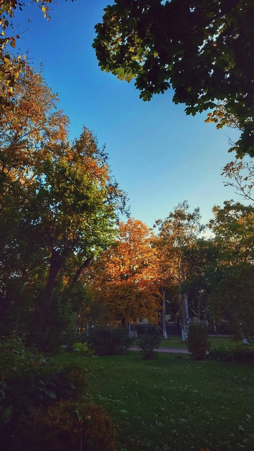 Осенние акценты