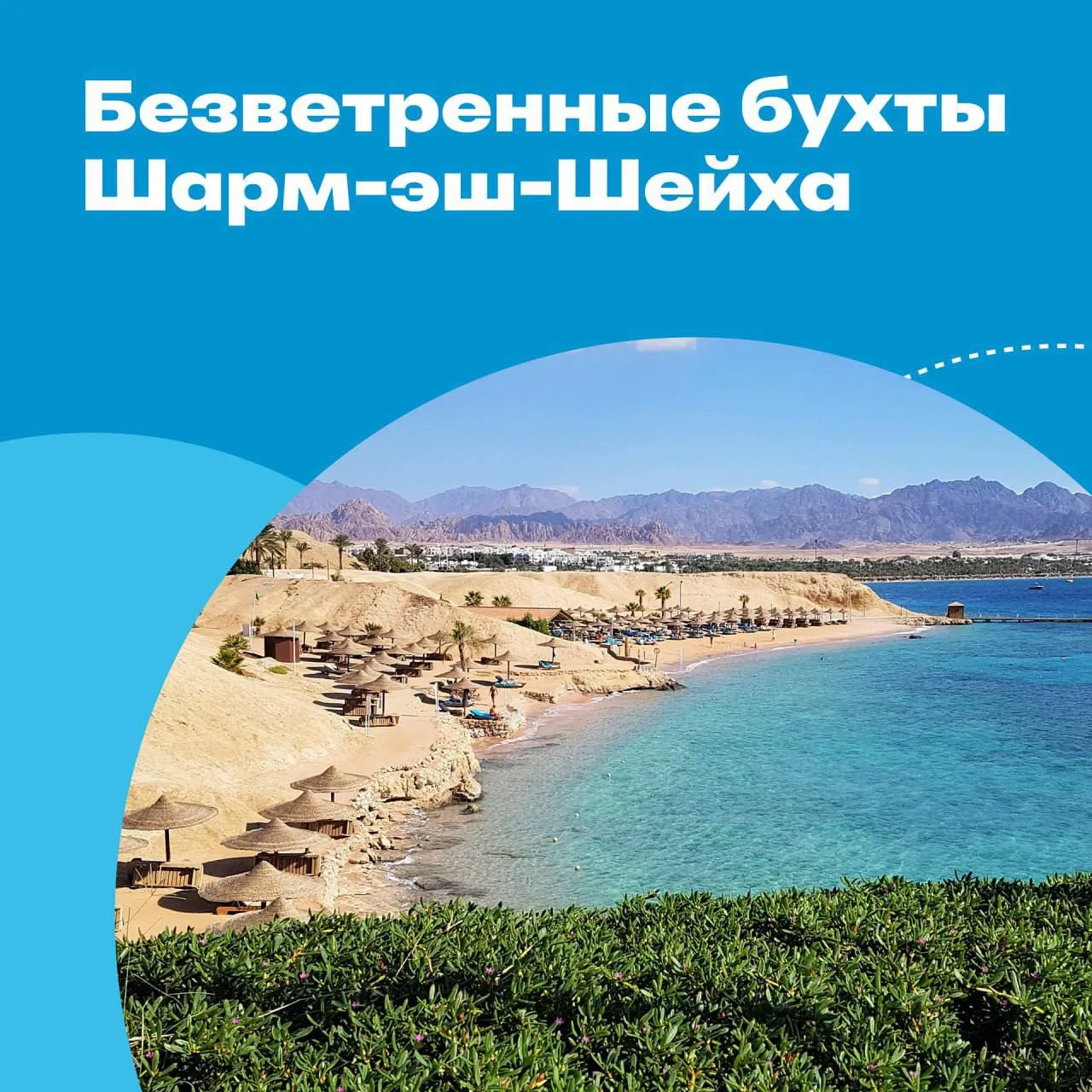 Шарм зимой: поймать солнце и спрятаться от ветра 🌞