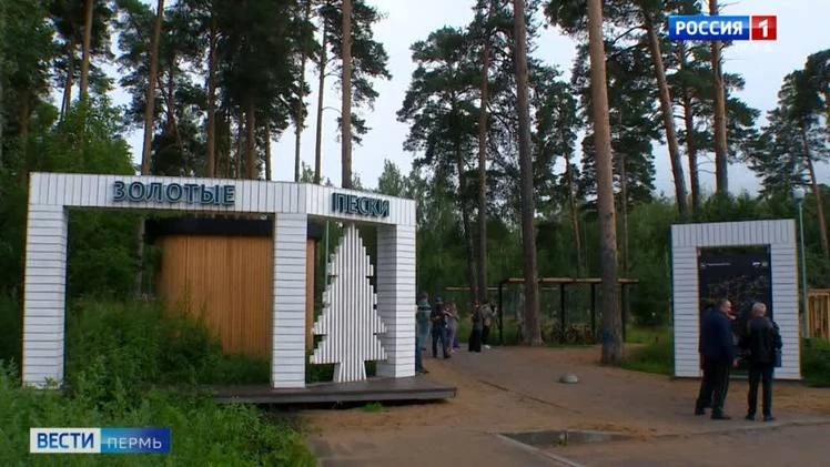 Жителей Перми приглашают на последнюю осеннюю беговую прогулку в Черняевском лесу