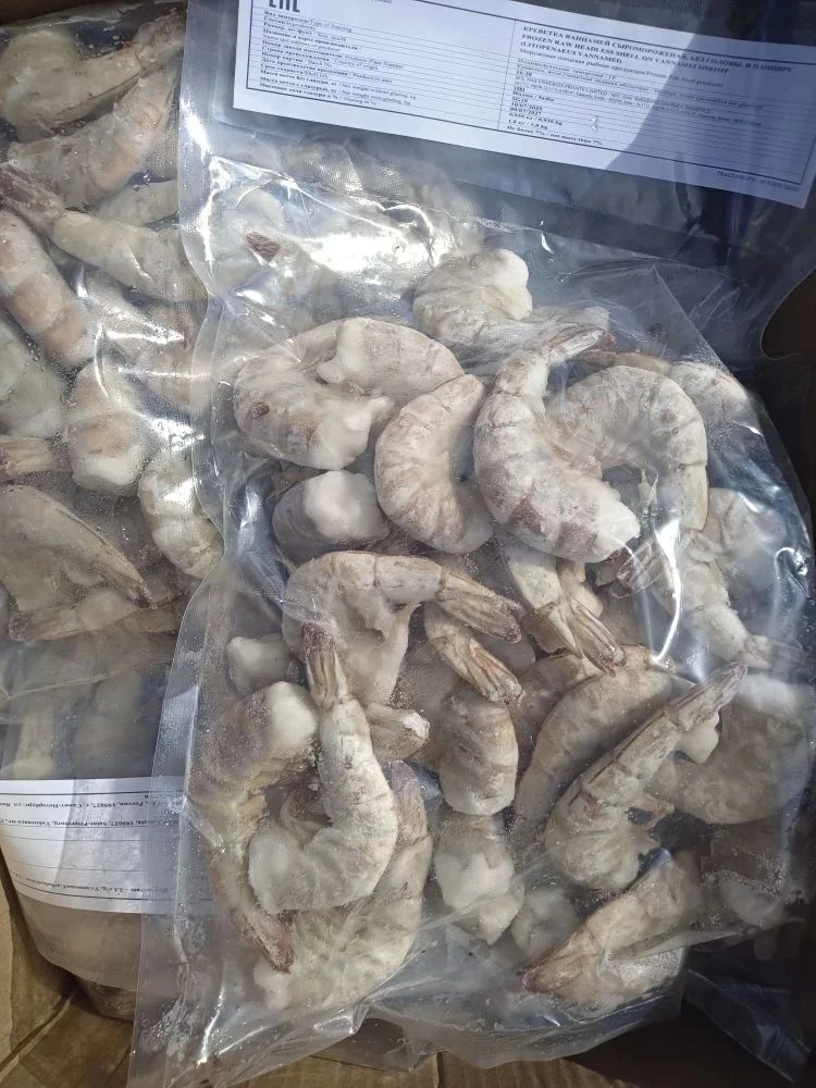 Тигровая креветка поступила в продажу! 🦐🎉