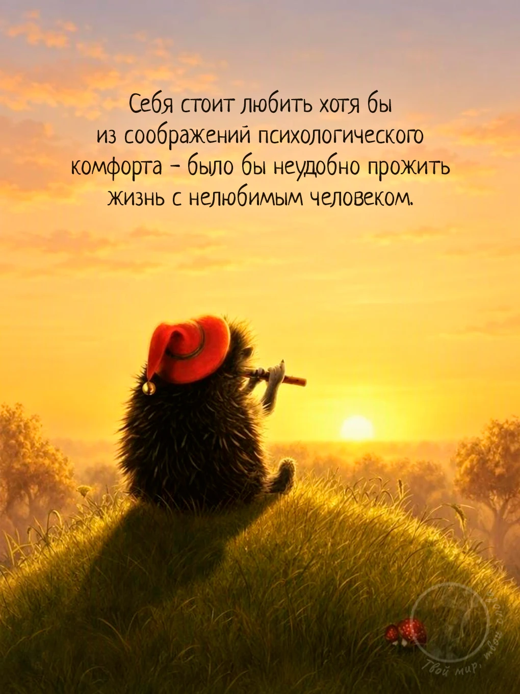 Твой мир, твои слова