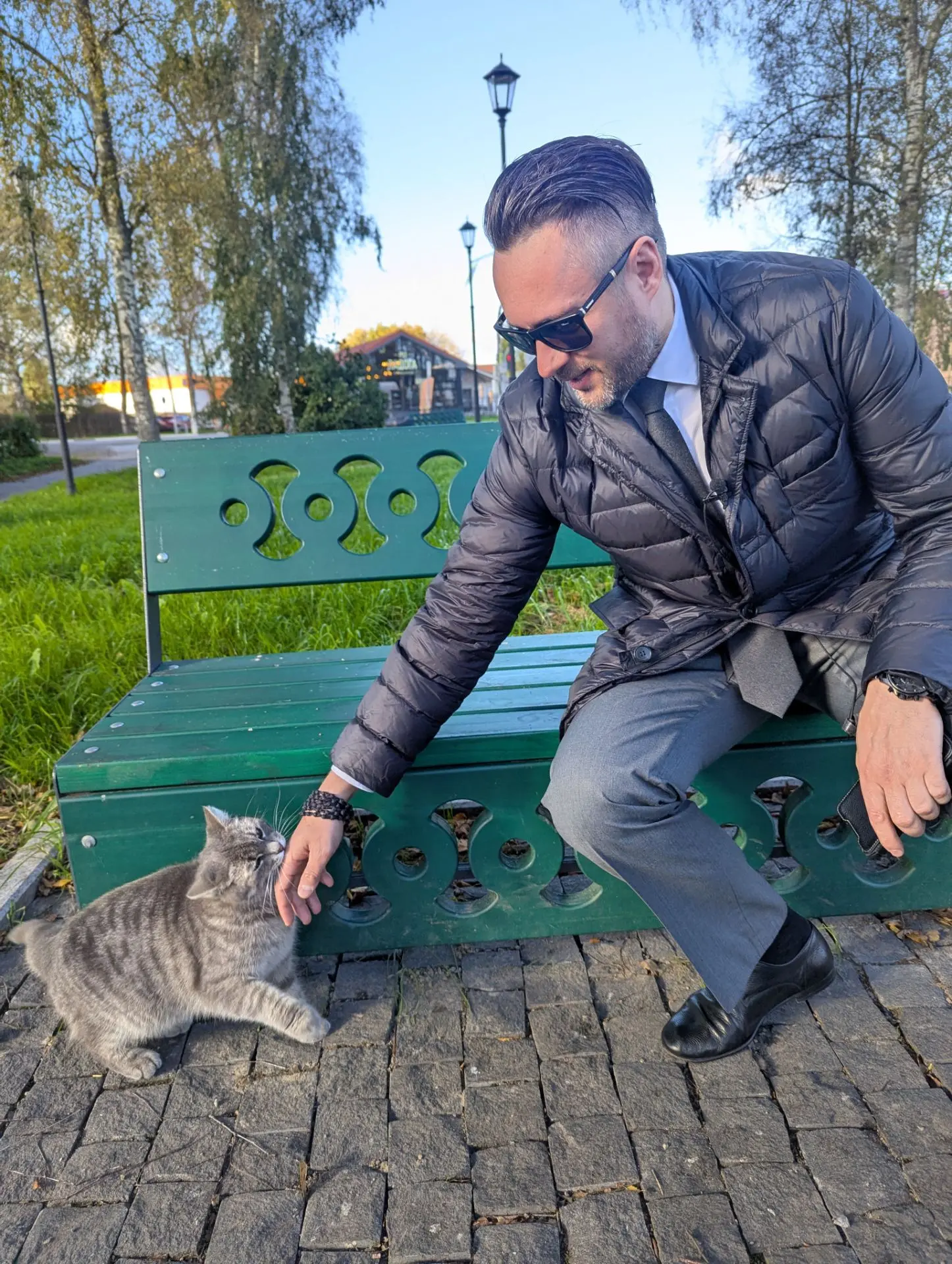 Участие котов в инспекционных поездках председателя комитета по ЖКХ Ленобласти Дениса Б...