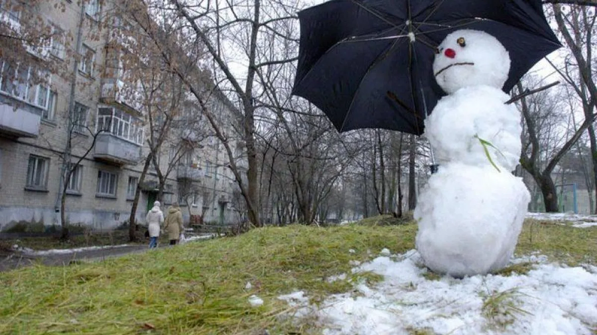 ✅ Новости из соцсетей...