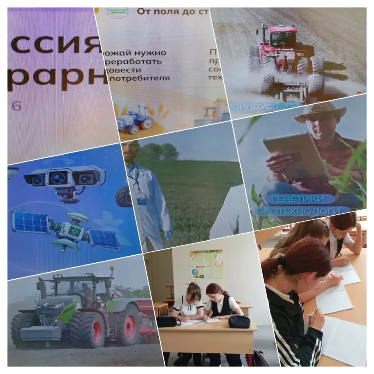 Профориентационное занятие «Россия аграрная»