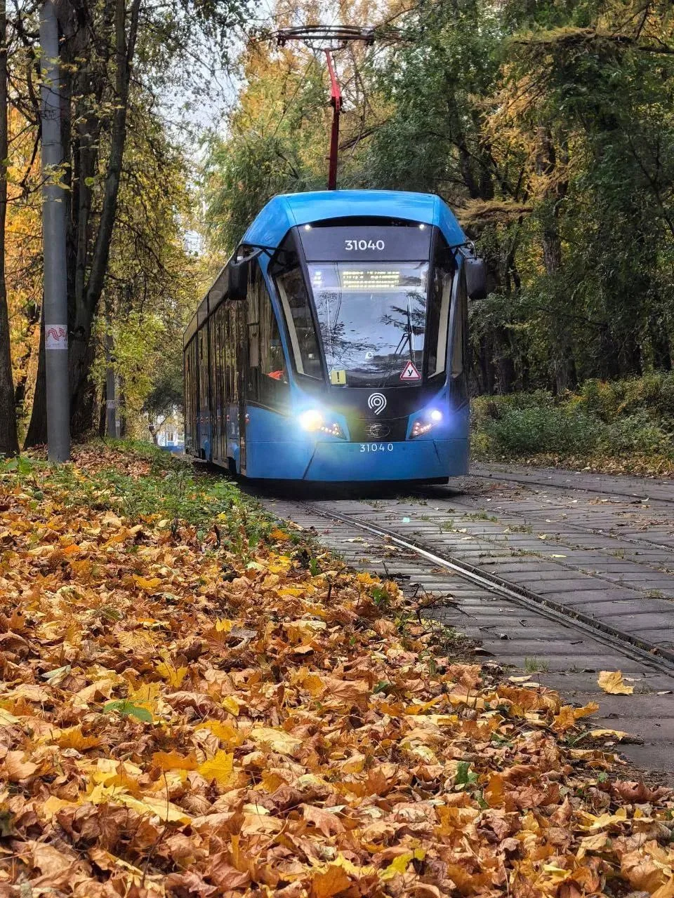 Осенние трамвайчики в Сокольниках! 😍🍂🍁🍂
