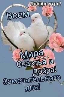 Утречко доброе,