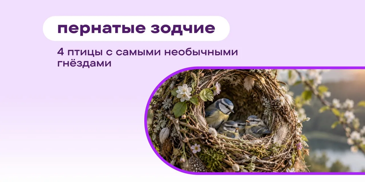 😱 Ремонт в квартире — это шум, пыль, споры о цвете стен и бригада, которая пропала на ...