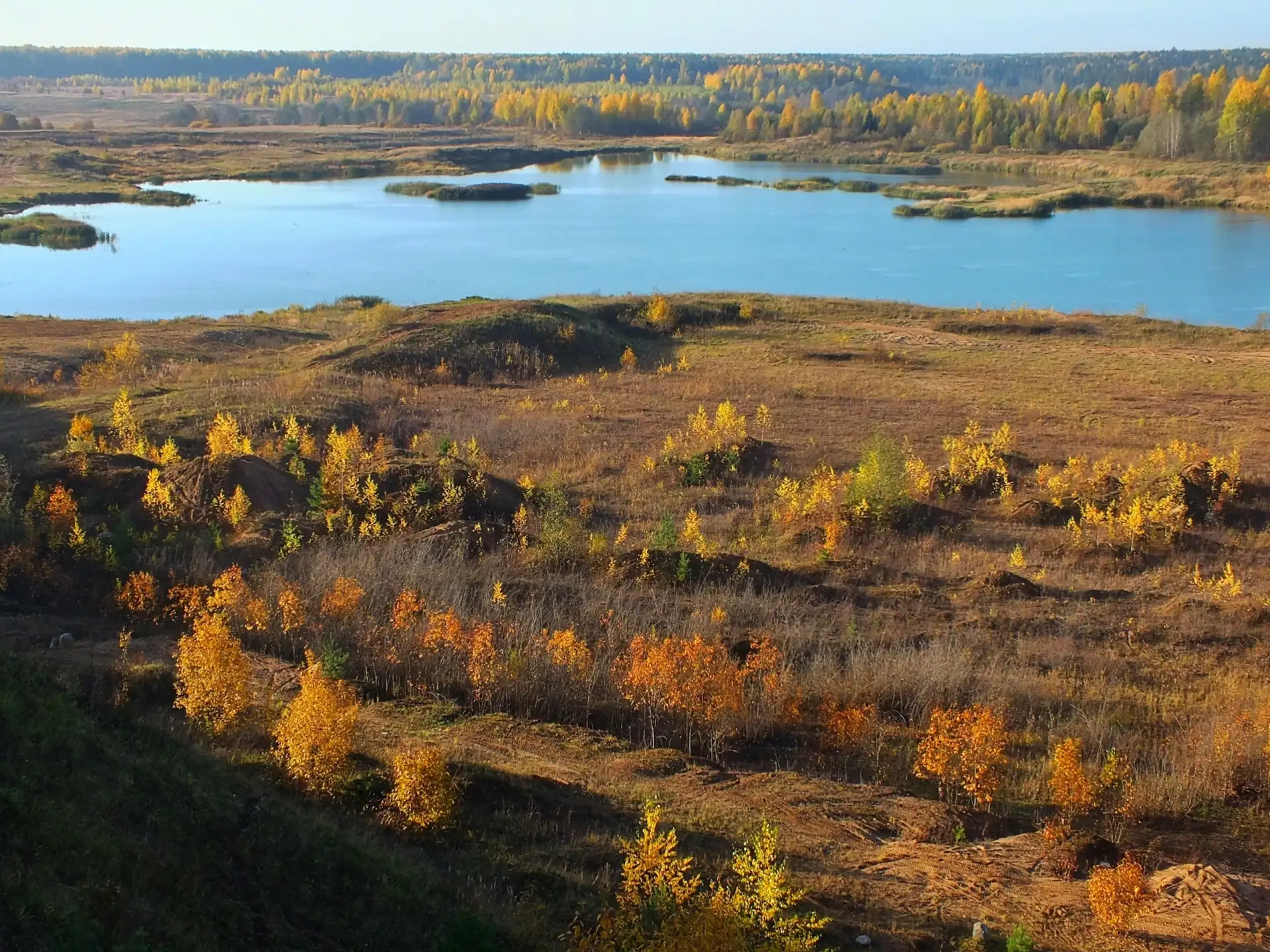 Просторы осени...🍂