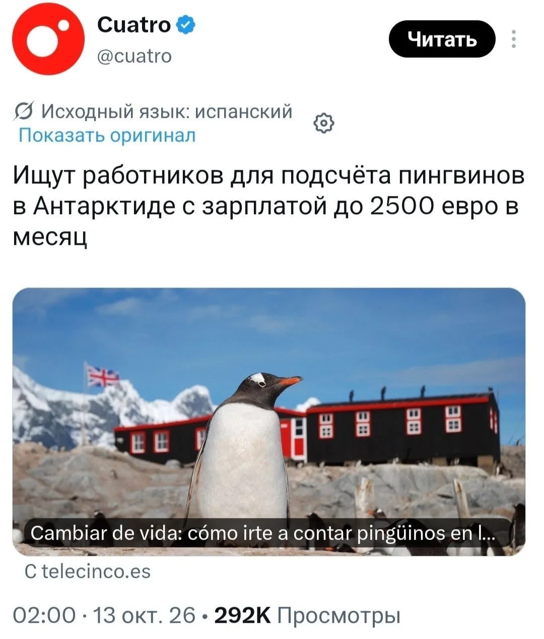 В Антарктиду ищут смотрителя пингвинов с зарплатой около 230 тысяч рублей. Контракт рас...