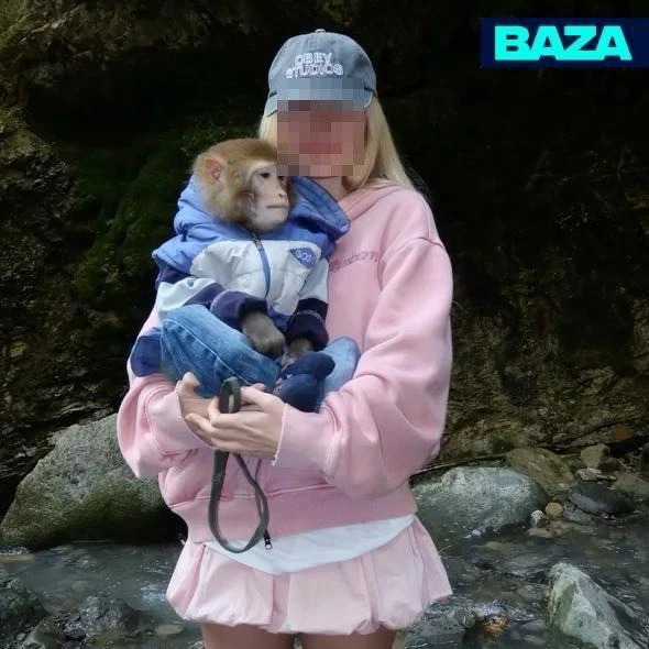 Петербурженка оказалась в эпицентре камнепада во время фотосессии со стилёвой обезьянко...