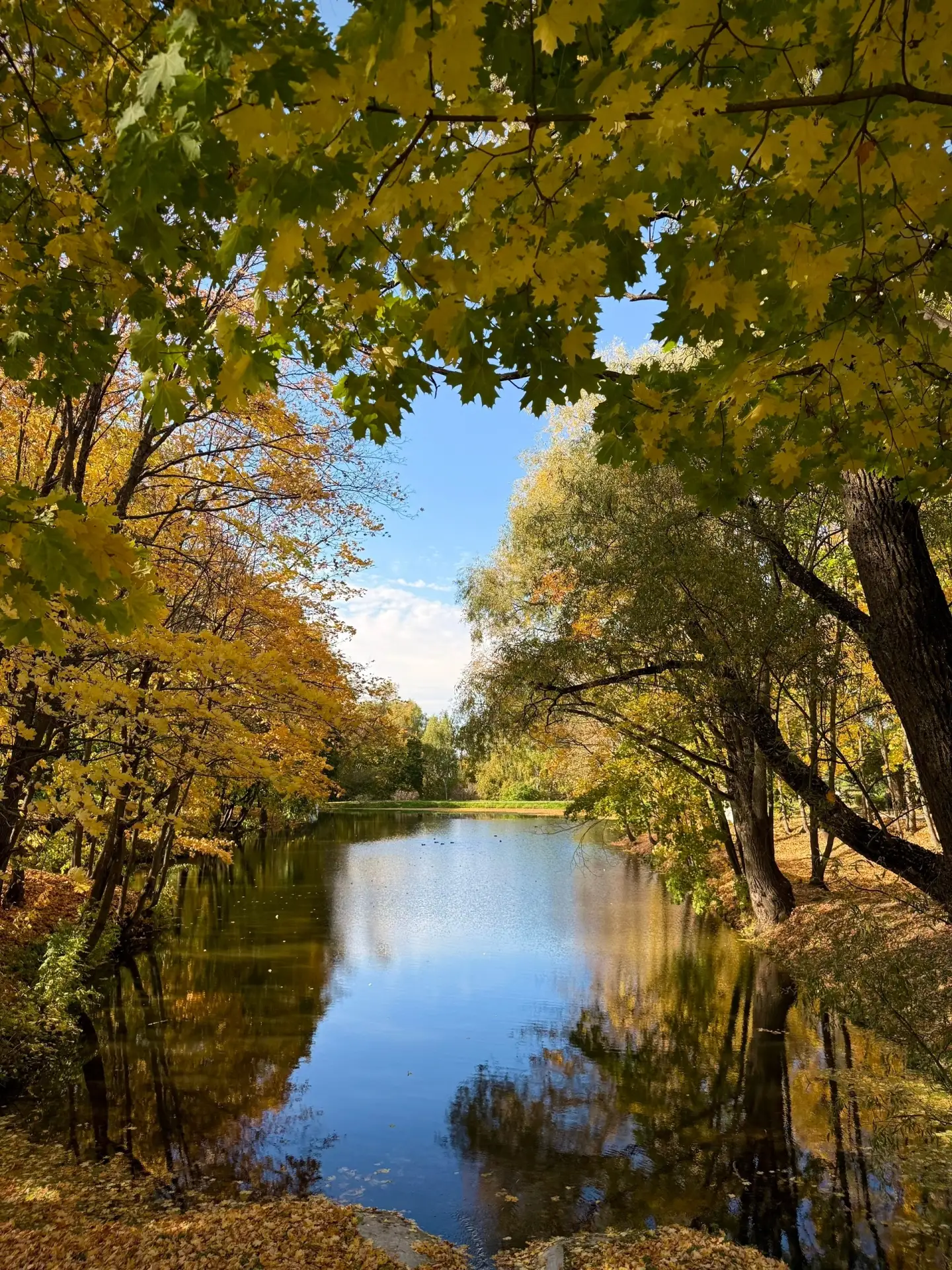 Очей очарованье…🍁