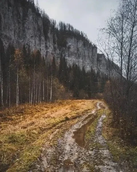 🍂 Осень на Ветлане