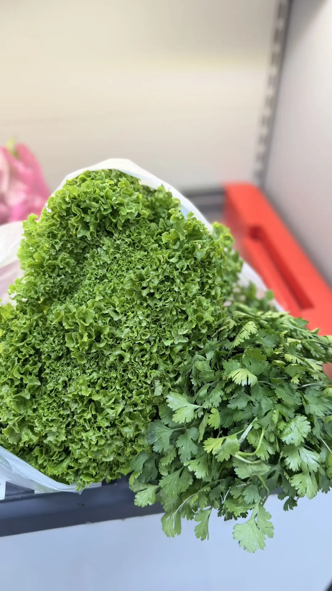 Поступление свежей зелени 🌿🥬