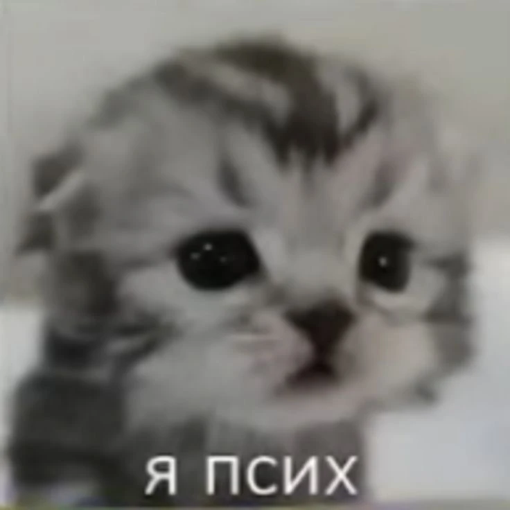 Сегодня празднуется Всемирный день психического здоровья 😱