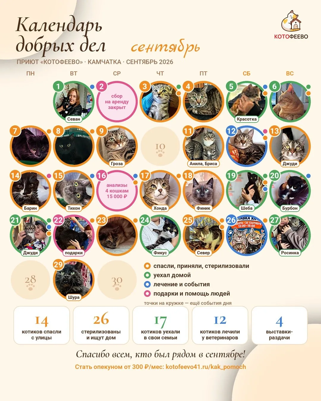 Календарь добрых дел Котофеево — сентябрь 🧡