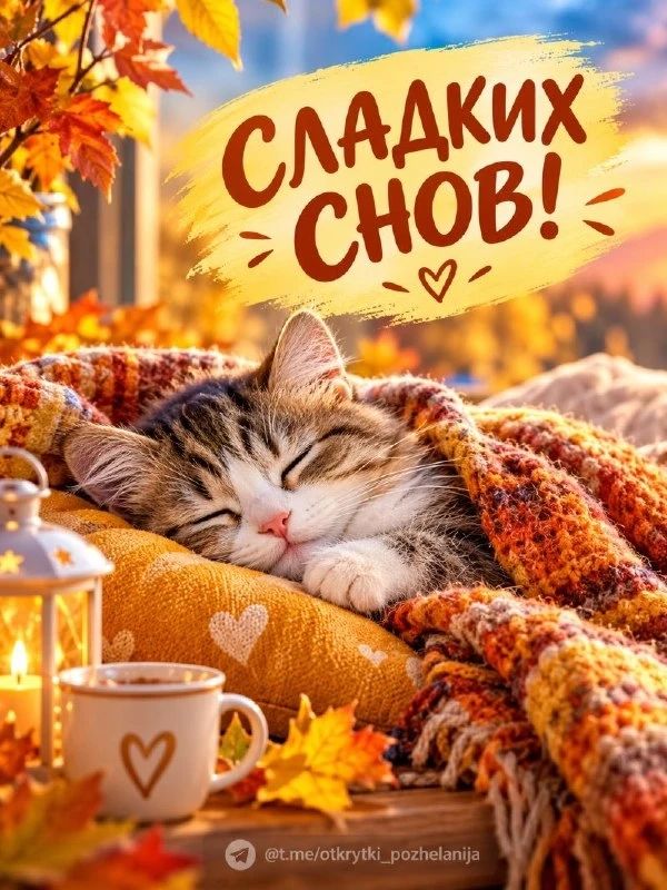 Открытки: подписаться ❤️