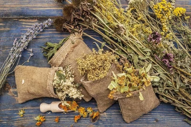 🍂Что собирать в октябре 🍂