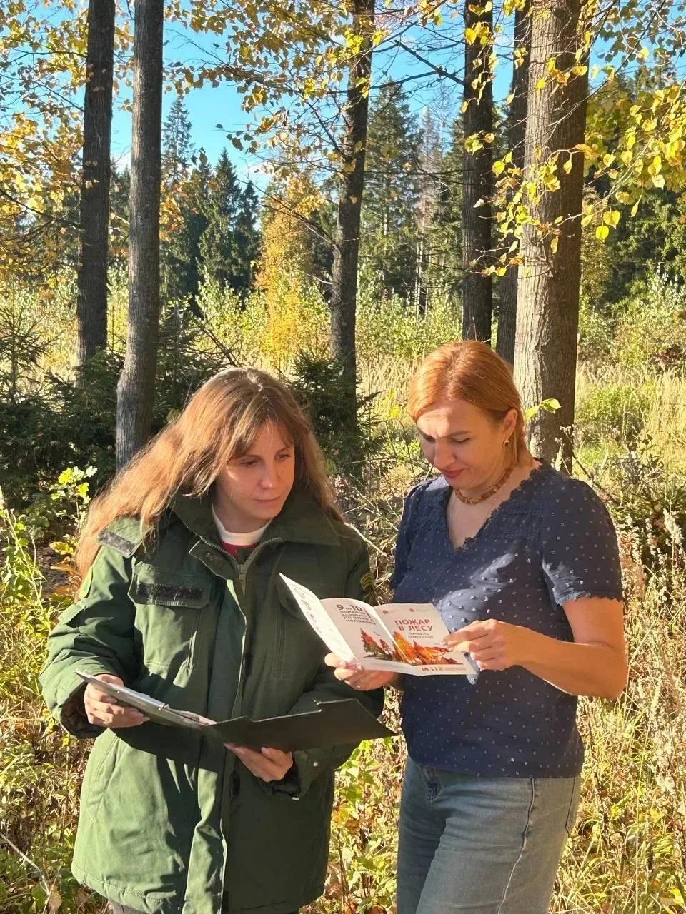 🌳Наклонилось дерево? Сначала — к лесничему.