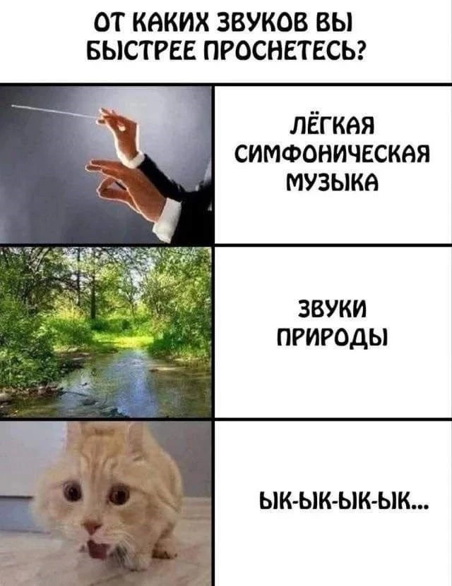 КуЗьМа в ТеМе